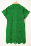 Solid Embroidered Eyelet Collared V-Neck Mini Dress