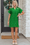 Solid Embroidered Eyelet Collared V-Neck Mini Dress