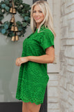 Solid Embroidered Eyelet Collared V-Neck Mini Dress