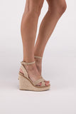 Wedge Heel Ankle Strap Shoe