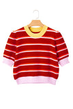 Stripe Colorblock Trim 3/4 Sleeve Sweater Top