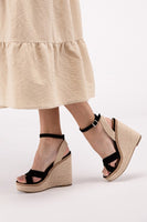 Wedge Heel Ankle Strap Shoe